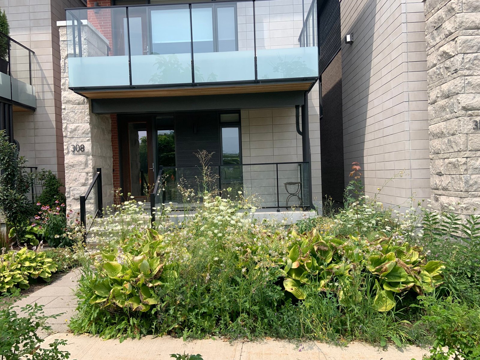 Before: dense weeds and overgrown plants fill a townhouse front garden.